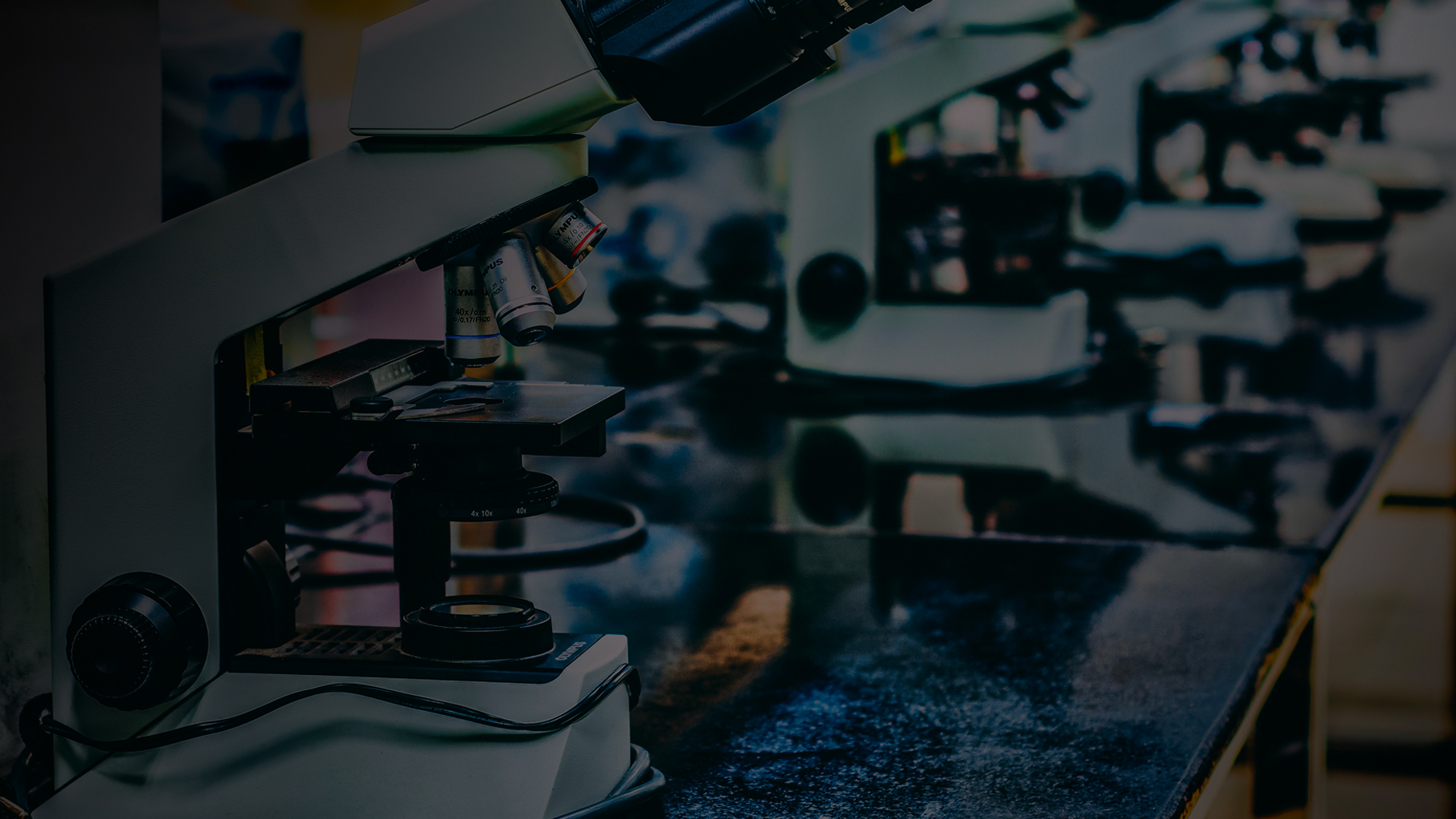 Научная экспертиза