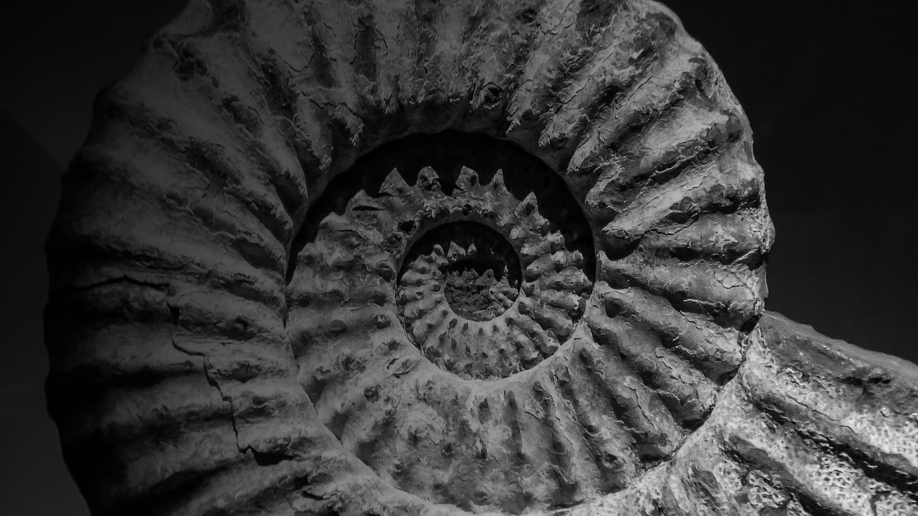 Радиоуглеродное датирование ваших произведений искусства